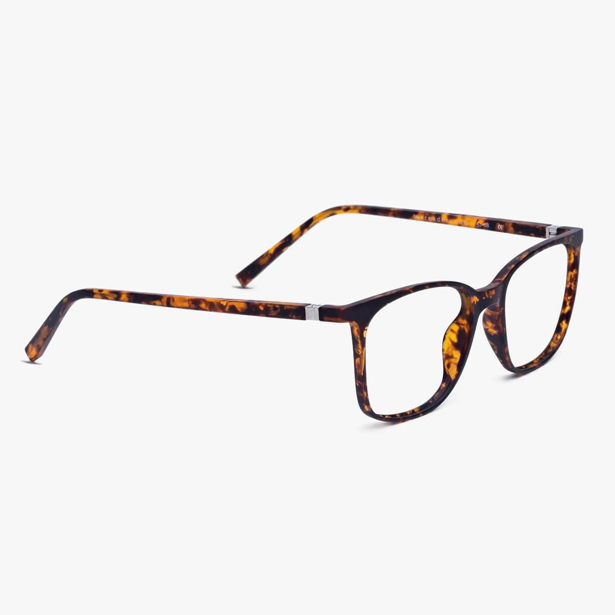 fyn-turtle_reading-glasses_image-2.jpg?v=1770907193&width=1200