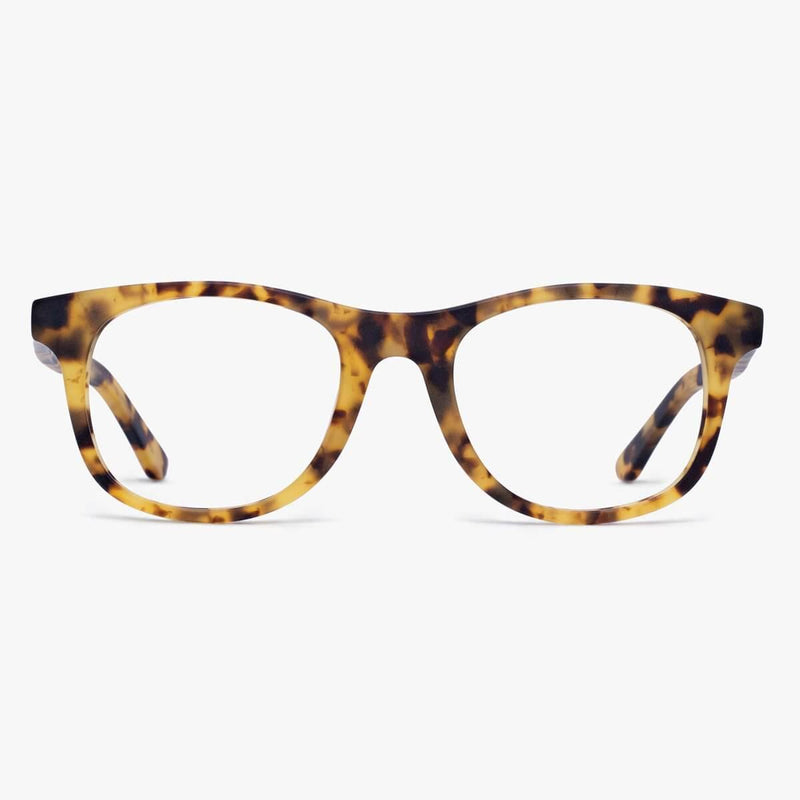 Malmö Light Turtle tortoiseshell reading glasses