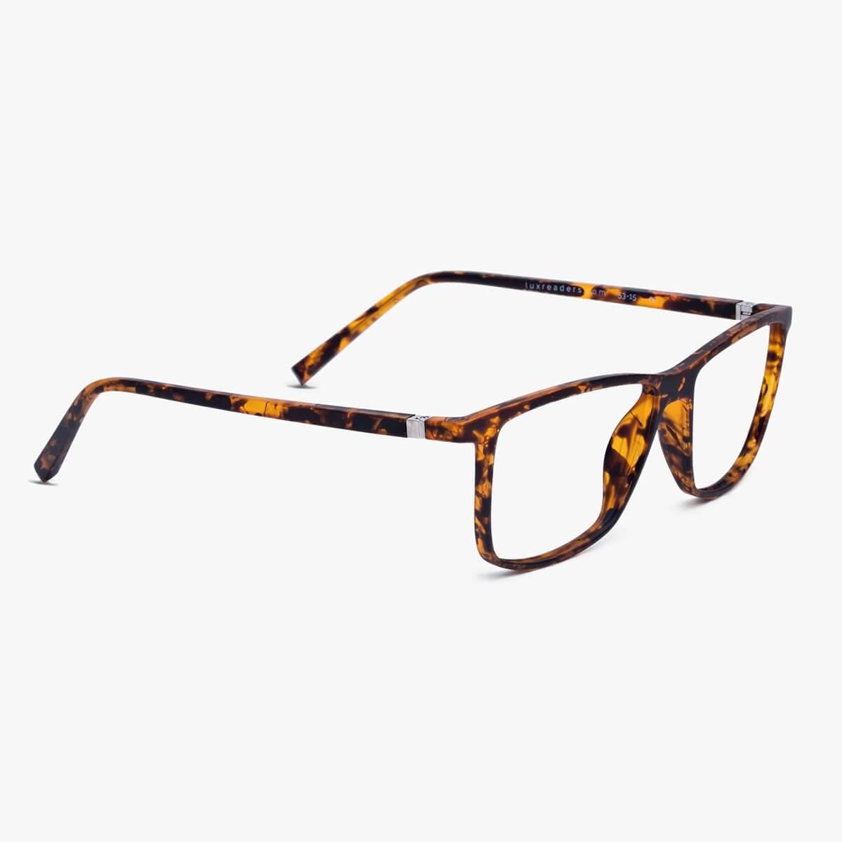 Tortoise shell frame reading glasses with silver accents from Luxreaders