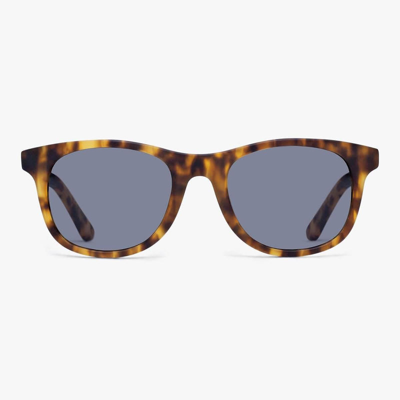 Women's Malmö Light Turtle sunglasses in tortoiseshell pattern